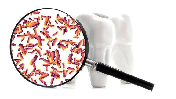 牙齿周围有细菌和病毒