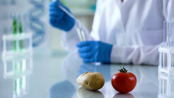 新鲜的番茄和土豆放在实验台上工作人员正在检查营养质量