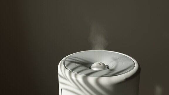 扩散器空气净化器或加湿器释放强大的冷蒸汽流与精油在房间有阴影室内植物香薰油蒸汽香薰身体健康治疗水疗和健康