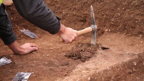 考古学家用鹤嘴锄挖掘