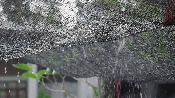 SLO莫;雨水从屋顶的树叶上落下