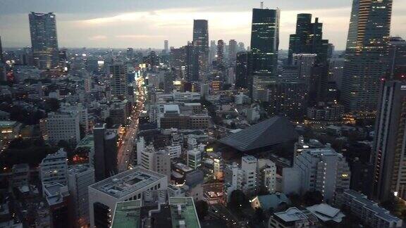 从东京塔俯瞰东京
