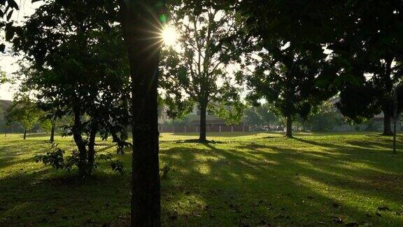 阳光和阴影在一个有树的公园里