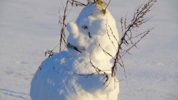 一个胖乎乎的雪人身上有很多树枝