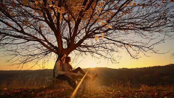 日落时分一对深情的情侣坐在树下