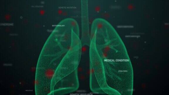 呼吸系统部位解剖-新冠肺炎-冠状病毒