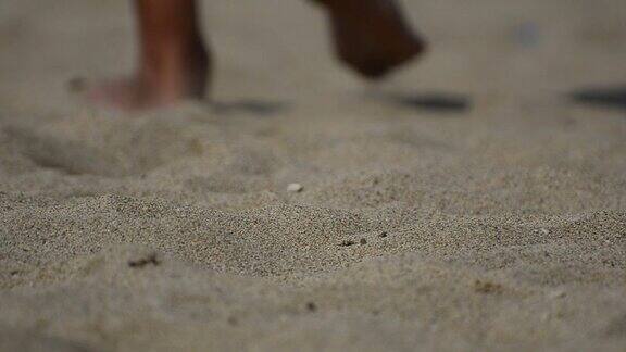 赤脚在海滩上散步