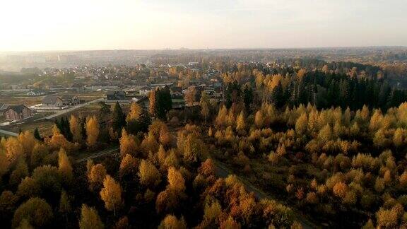 鸟瞰图的秋天森林秋天的风景无人机视频4k