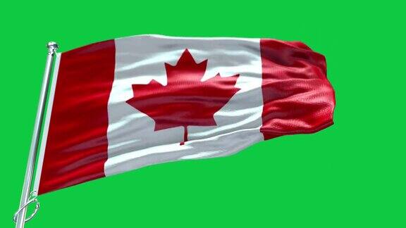 4k高度详细的加拿大国旗-加拿大国旗高细节-国旗加拿大波浪图案可循环元素