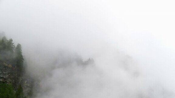 雾升山森林