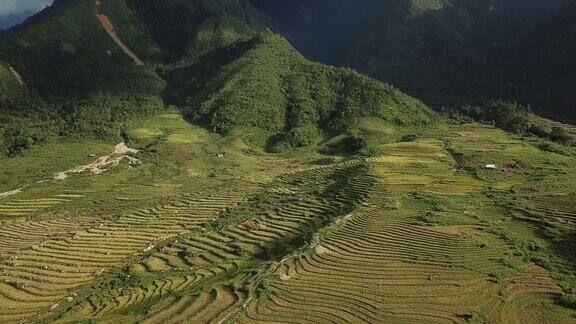 越南盐白梯田上的稻田美丽的梯田在收获季节的日落在木仓寨
