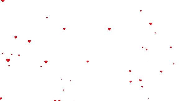 心的背景动画情人节贺卡3月8日妇女节飞行的心在白色的背景动画