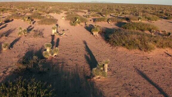 无人机拍摄的一条从西德克萨斯州延伸到新墨西哥州的狭窄孤独的沙漠公路