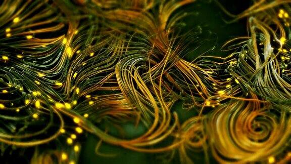 神经元网络环