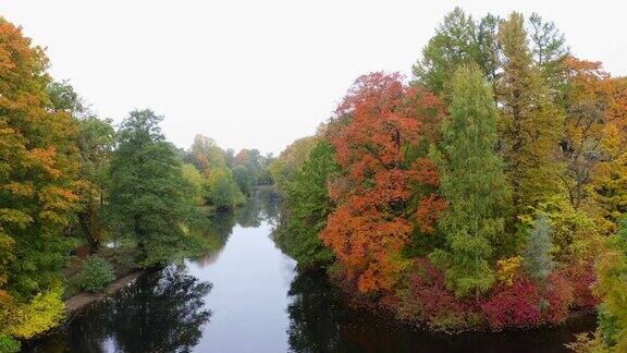 沿着河流在秋叶的树林中飞翔