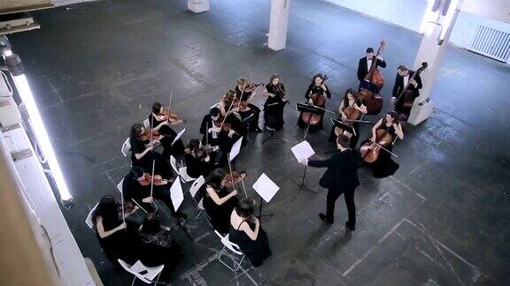 乐团在交响音乐厅拉小提琴的音乐家