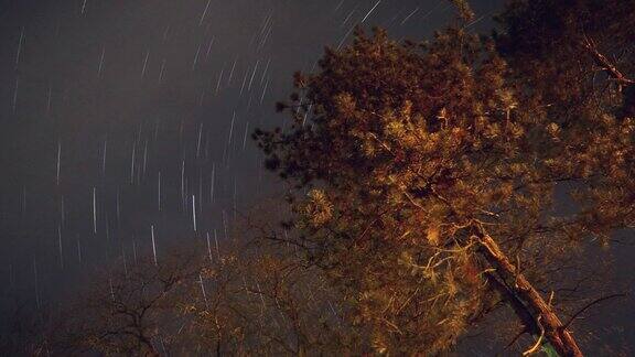 夜晚时分延时拍摄的星空和树梢