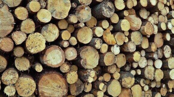 砍伐森林的原木堆
