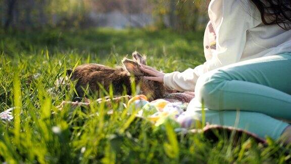 一个小女孩在露天里抚摸着一只棕色的兔子周围是五颜六色的复活节彩蛋