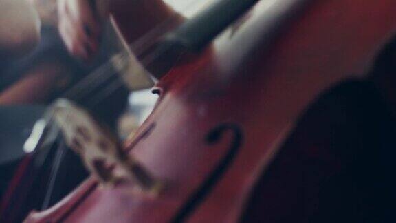 弹奏大提琴的女大提琴手女人大提琴手