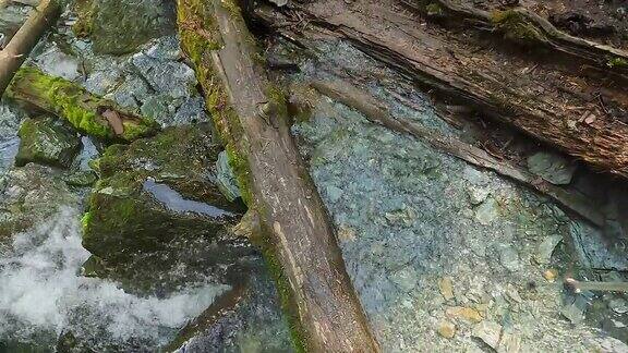 一个人穿过山林小溪越过岩石和原木第一人称视角