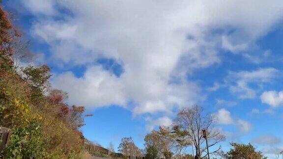 在蓝天白云下行驶在秋叶飘飘的山路上