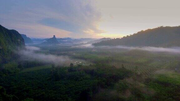 航拍热带雨林清晨的薄雾