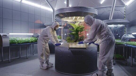 科学家穿着防护服检查植物孵化器