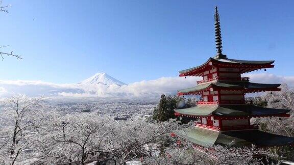 冬天富士山有红塔日本藤吉田