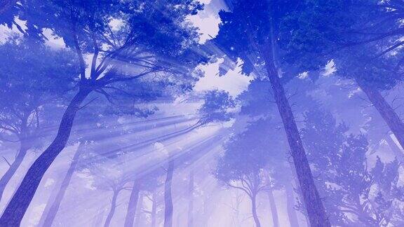 松树树冠和神秘的灯光