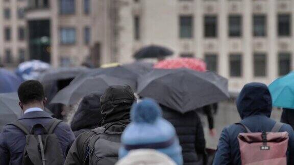 在雨中打着雨伞的城市通勤者