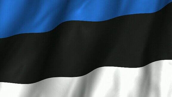 爱沙尼亚挥舞着旗帜盘旋着
