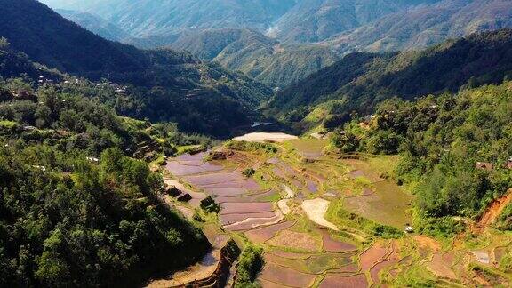 菲律宾的梯田美妙的农业在山谷在一个美丽的一天-鸟瞰图与无人机4K