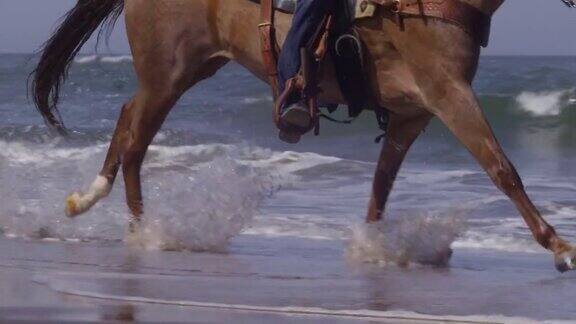 在慢动作海滩上骑马的女人