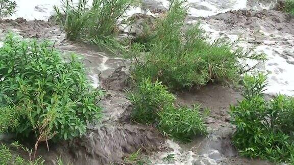马拉维:热带暴雨过后河水泛滥