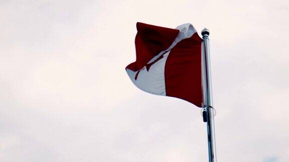 加拿大国旗从旗杆上飘扬