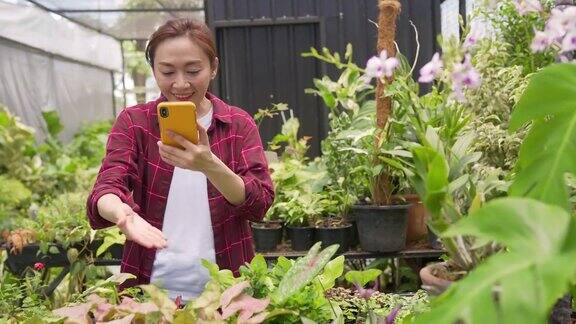 4K亚洲女植物商店老板在智能手机上直播盆栽为在线商店