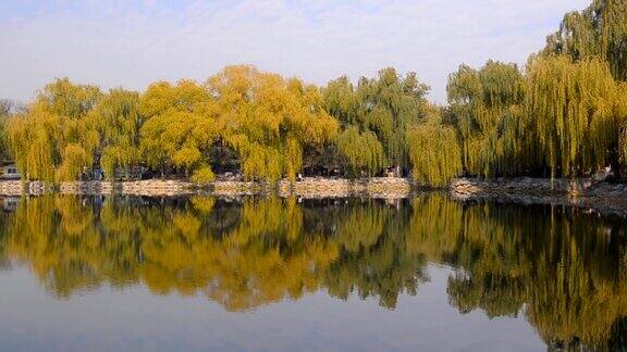 淘金:许多五颜六色的树映在圆明园的湖面上