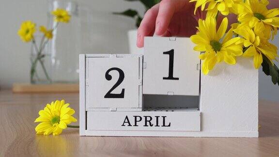 春季四月二十一日一个女人的手翻动着一本立体日历白色的万年历在黄花旁边的桌子上一个月后更改日期每个月的每一天数量