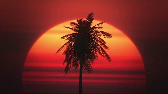 棕榈树对着冉冉升起的太阳