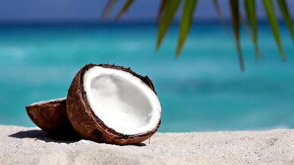 两个半裂开的棕色椰子在白色的沙滩上棕榈叶和绿松石海的背景