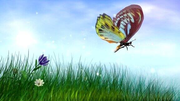 飞舞的蝴蝶带着盛开的花朵