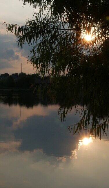 缓慢的平移镜头夕阳透过树叶渗透反射在水中