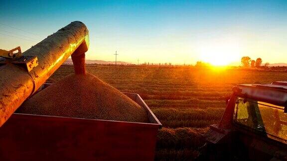 日落时的农业概念收割种子浇注机械转移收获拖拉机集装箱高清索尼4K拍摄