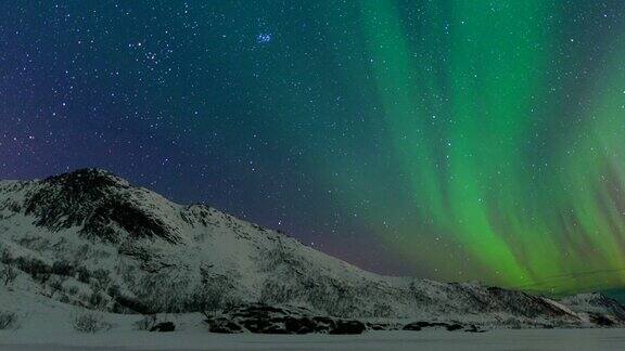 北极光北极光或北极光在夜空中在罗浮敦群岛在挪威
