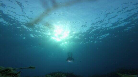 自由潜水者用鱼叉在蓝色的海洋中捕鱼:用手电筒在水下寻找东西