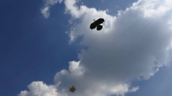 空中风筝比赛印度尼西亚爪哇中部的布罗拉