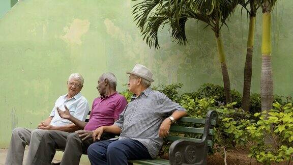 快乐的老人们老人们在城市公园谈笑风生