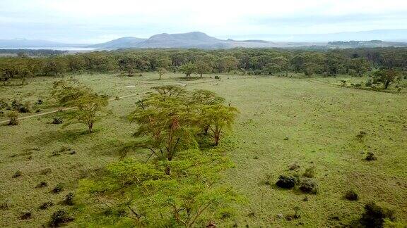 肯尼亚非洲大草原的鸟瞰图