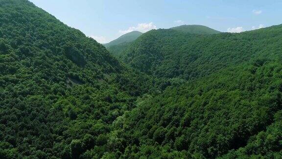 青山绿水绿树成荫